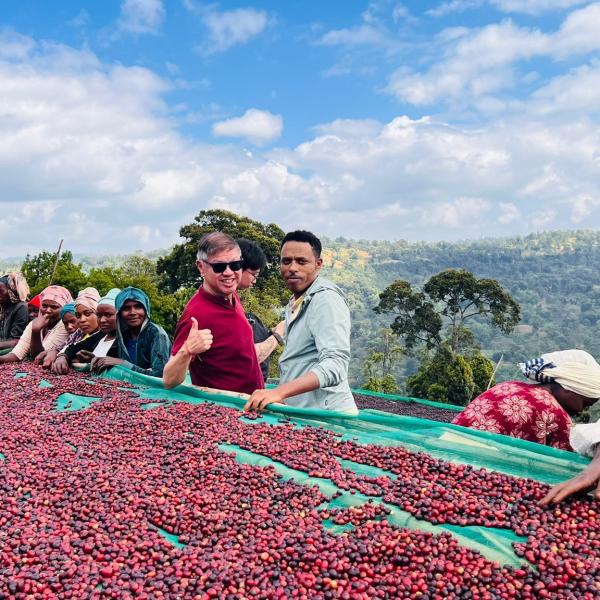 Guji, Uraga and Gedeb Terroirs